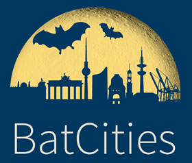 BatCities