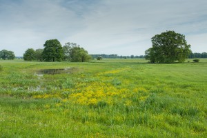 Die Untere Havel verbindet mehrere Natura-2000-Gebiete (Foto: Klemens Karkow)