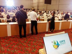 Working Group 2 wie sie die Vorsitzende sieht. Foto: K.Kreiser.