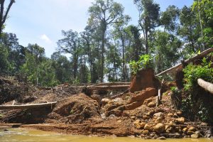 Der illegale Goldabbau hat eine zerstörender Wirkung auf den Regenwald .Foto: Andrea Schell