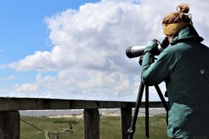 Die Vogelwartin bei der Arbeit. Foto: Anne de Walmont