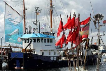 Das Segelschiff im Hafen von Fehmarn, mit gehisstem Segel für wirksame Meeresschutzgebiete.