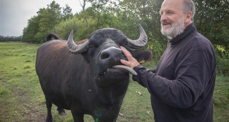 Blühstreifen und Moorpflege: So wirkt kooperativer Naturschutz in Brandenburg