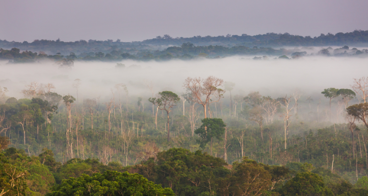 Klimaziel 2040: Fehlende Ambitionen in der EU