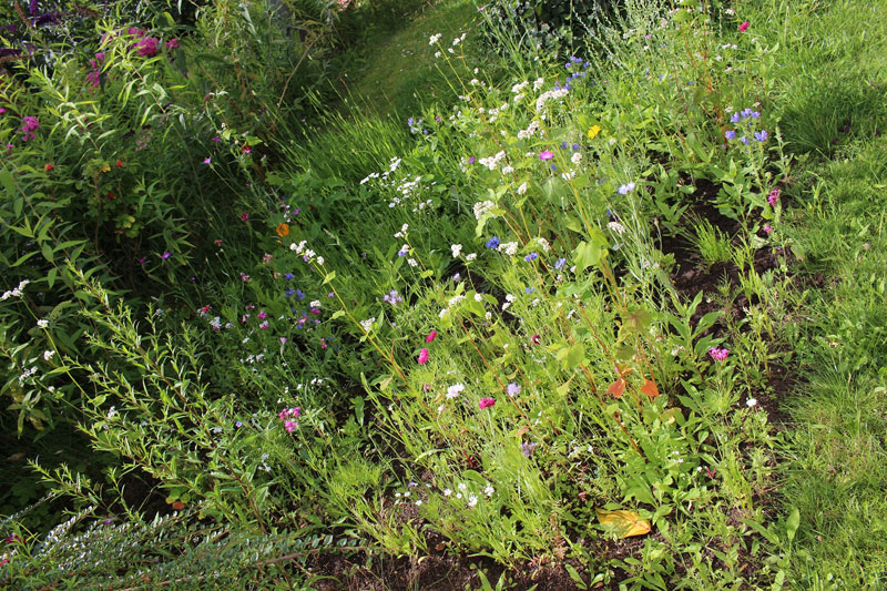 Fundraiser For Abigail Nissenbaum By Dessie Lee Legal Fundraiser For Abigail Nissenbaum By Dessie Lee Legal