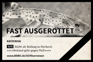 NABU-Kampagne SOS fürs Meer