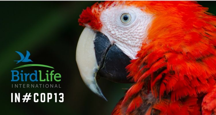 COP-Corner: Mexiko verdreifacht Schutzgebietsfläche