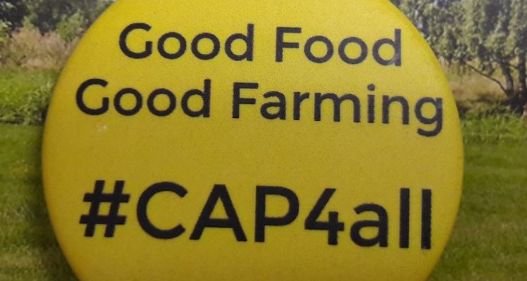 Durchgesickert: Schwache Ideen für die neuen EU-Agrarpolitik