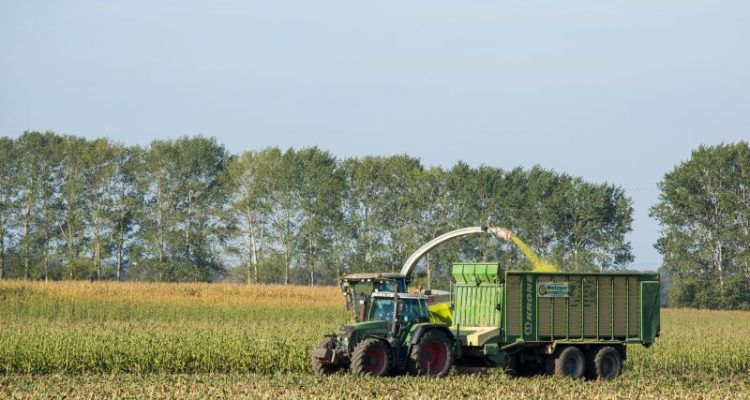 Streit ums Geld entzweit EU-Agrarminister