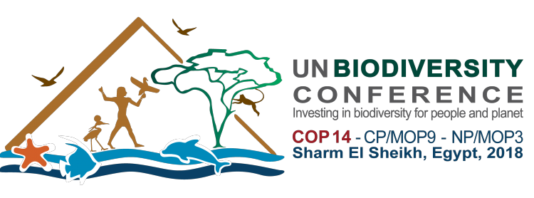 COP-CORNER: Rückschlag für den Meeresschutz