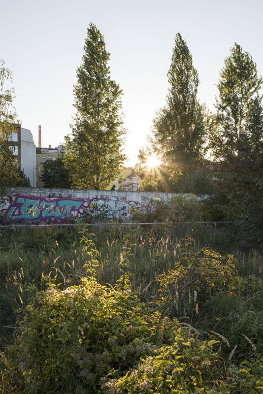 Mehr Natur in der Stadt und auch um die Stadt herum?! Aktuelle