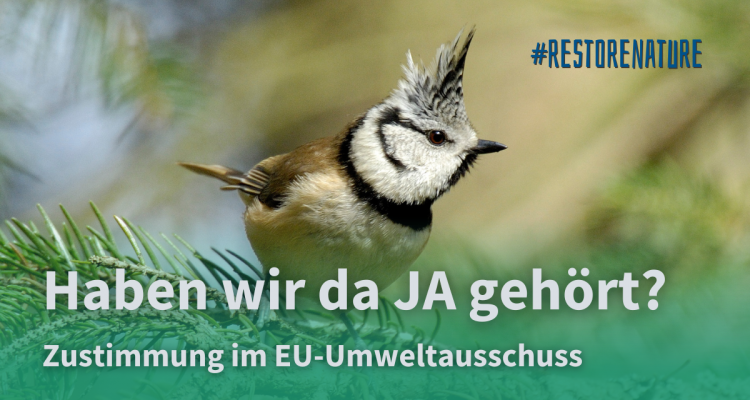 Nature Restoration Law fast am Ziel
