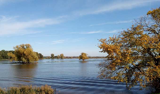 Gewässerschutzforum 2023: Erfolgreiche Diskussion zu naturbasierten Lösungen