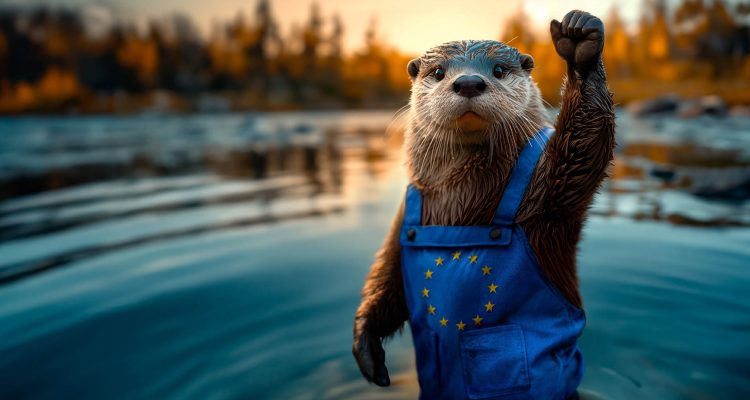 EU-Umweltpolitik 2026: Abrissparty statt Sanierung