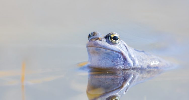 ANK – Warum trotz Klimakrise und Hochwasser schon wieder Kürzungen drohen