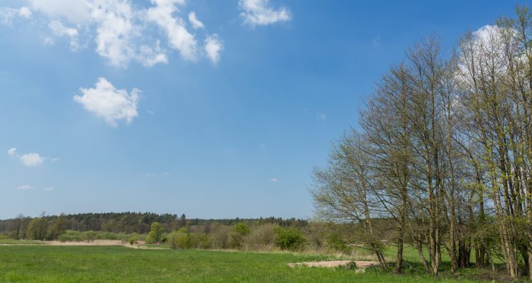 30 Prozent Schutzgebiete: Kaum Fortschritte erkennbar