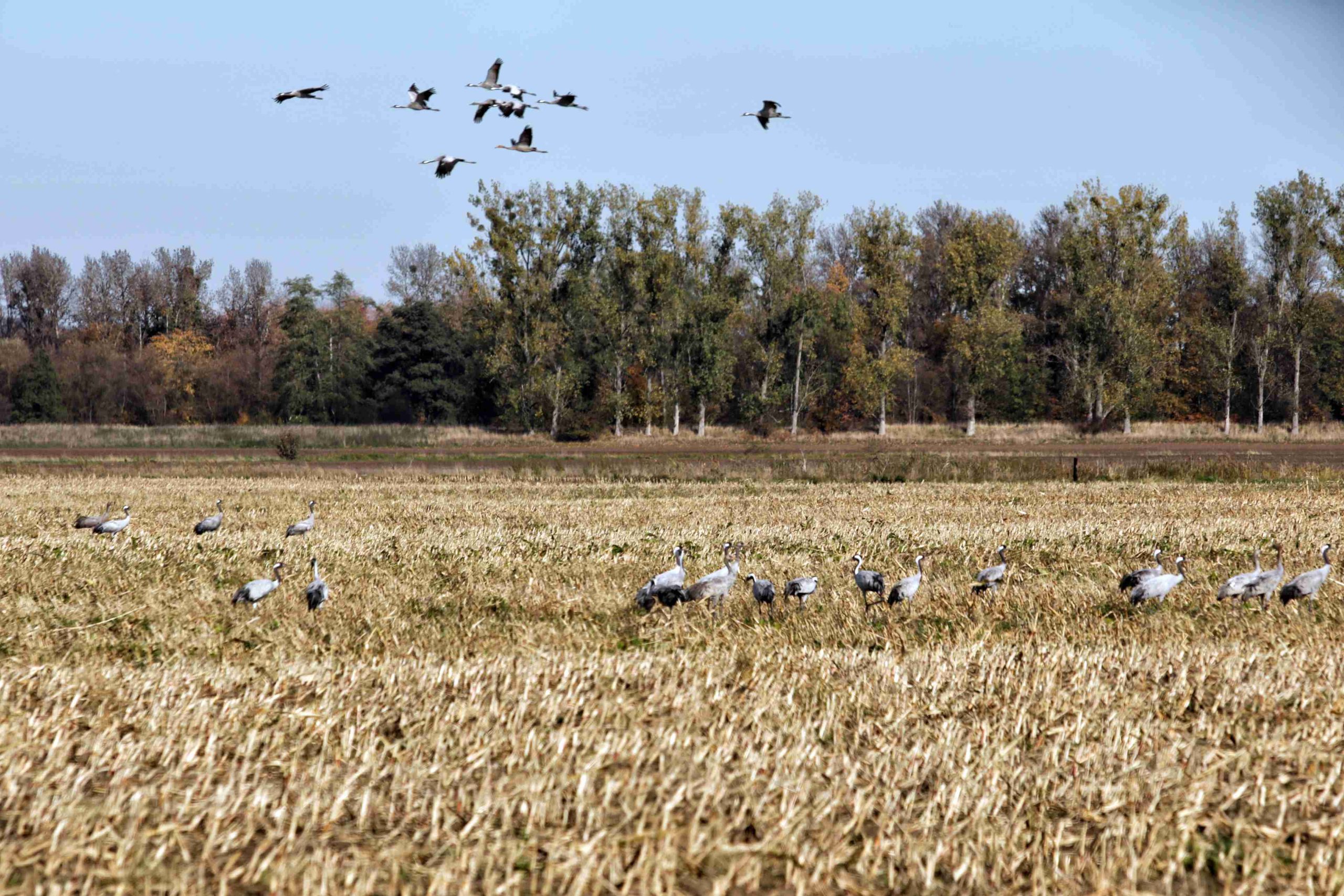 Foto: NABU/Volker Gerhmann