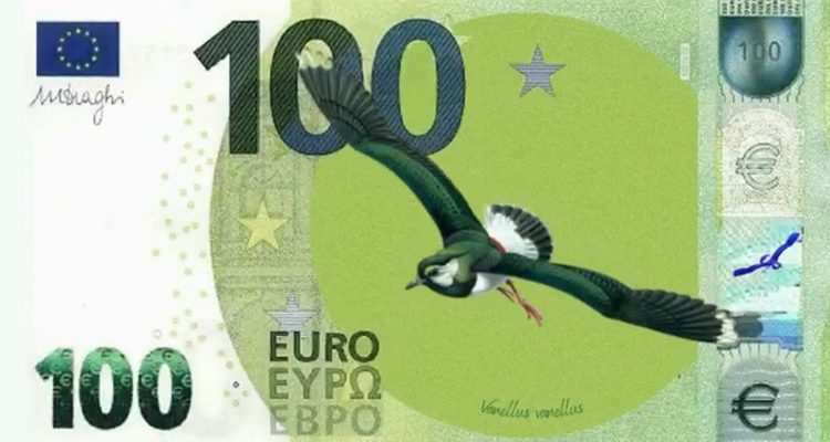 Haushaltsentwurf 2025 – Welche Änderungen gibt es im Naturschutz