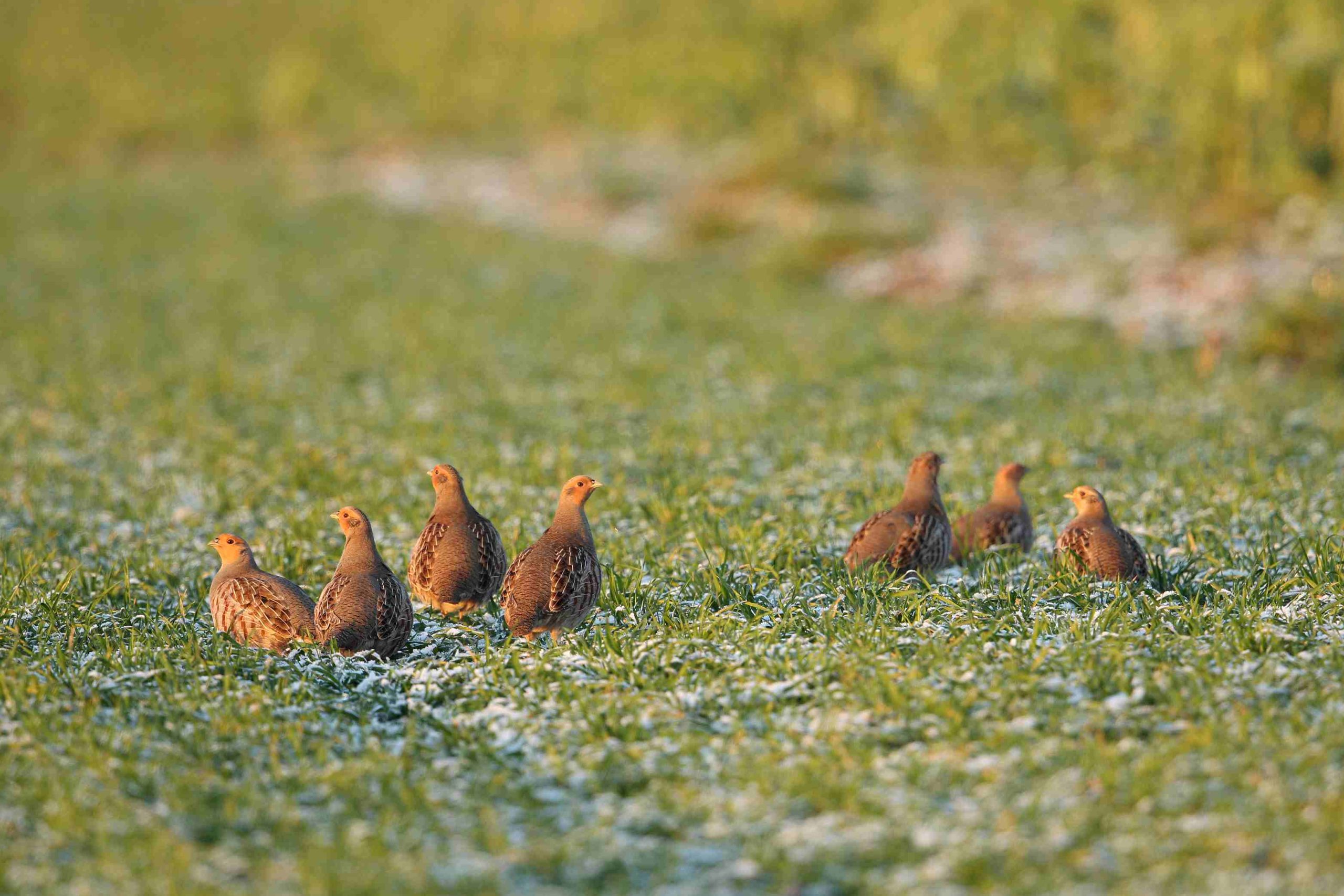 Foto: NABU/Jan Piecha