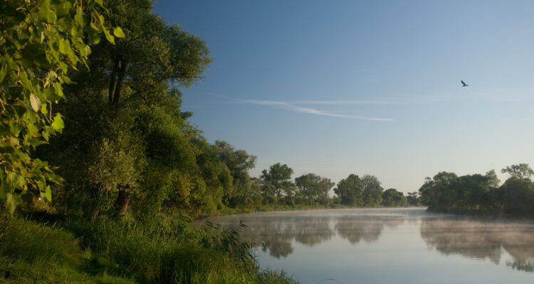 Die Wiederherstellungsverordnung wird 1 – doch noch gibt es zum Feiern wenig Grund