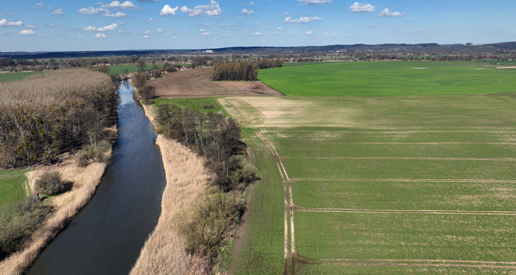 EU-Agrarpolitik vor dem Rückschritt: Warum der neue GAP-Vorschlag die falschen Weichen stellt