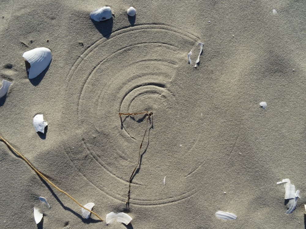 Zirkelkreise am Strand - der Wind bewegt den Halm, der deshalb die Kreise zeichnet 