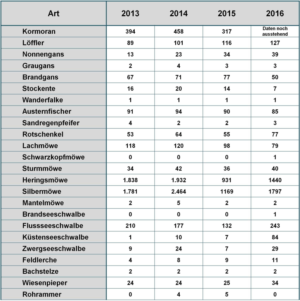 Brutbestand Tabelle Trischen 2013 - 2016