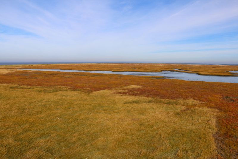 Die letzten Tage auf Trischen