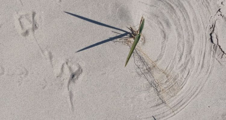 Die Hälfte um, die Hälfte vor mir – Gedanken zur Halbzeit auf Trischen