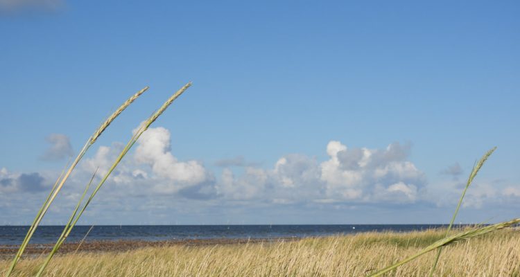 Ein Hauch von Spätsommer