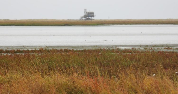 Tschüss Trischen: Vom Abschied nehmen und ankommen auf dem Festland
